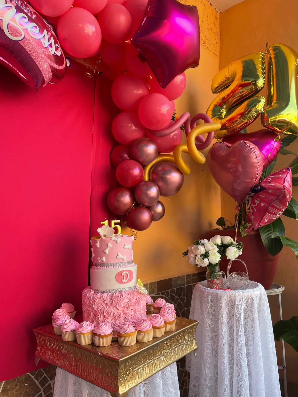 XV años a perrita Dory