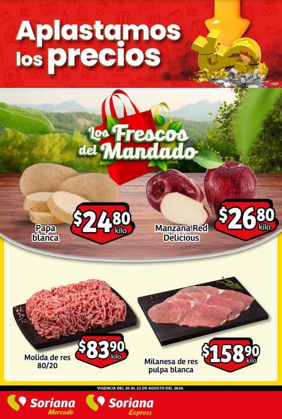 Folleto Soriana