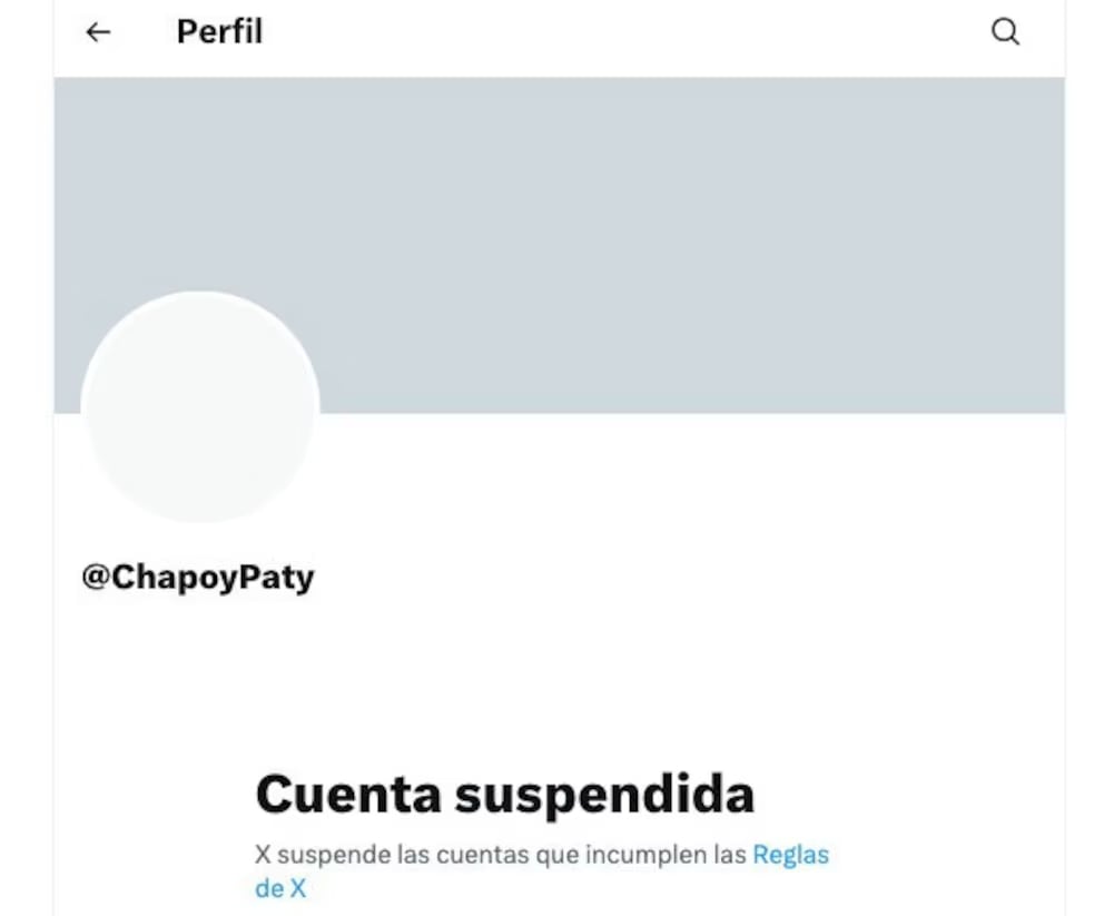 Cuenta de X de Pati Chapoy es suspendida tras comentarios de Pedro Sola sobre los perros que incitan al maltrato animal