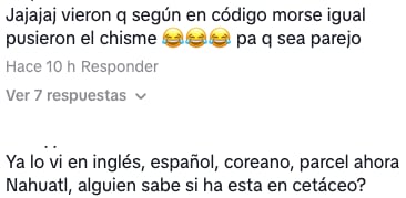Usuarios agradecen la traducción del chisme de Karla Luna y Karla Panini.