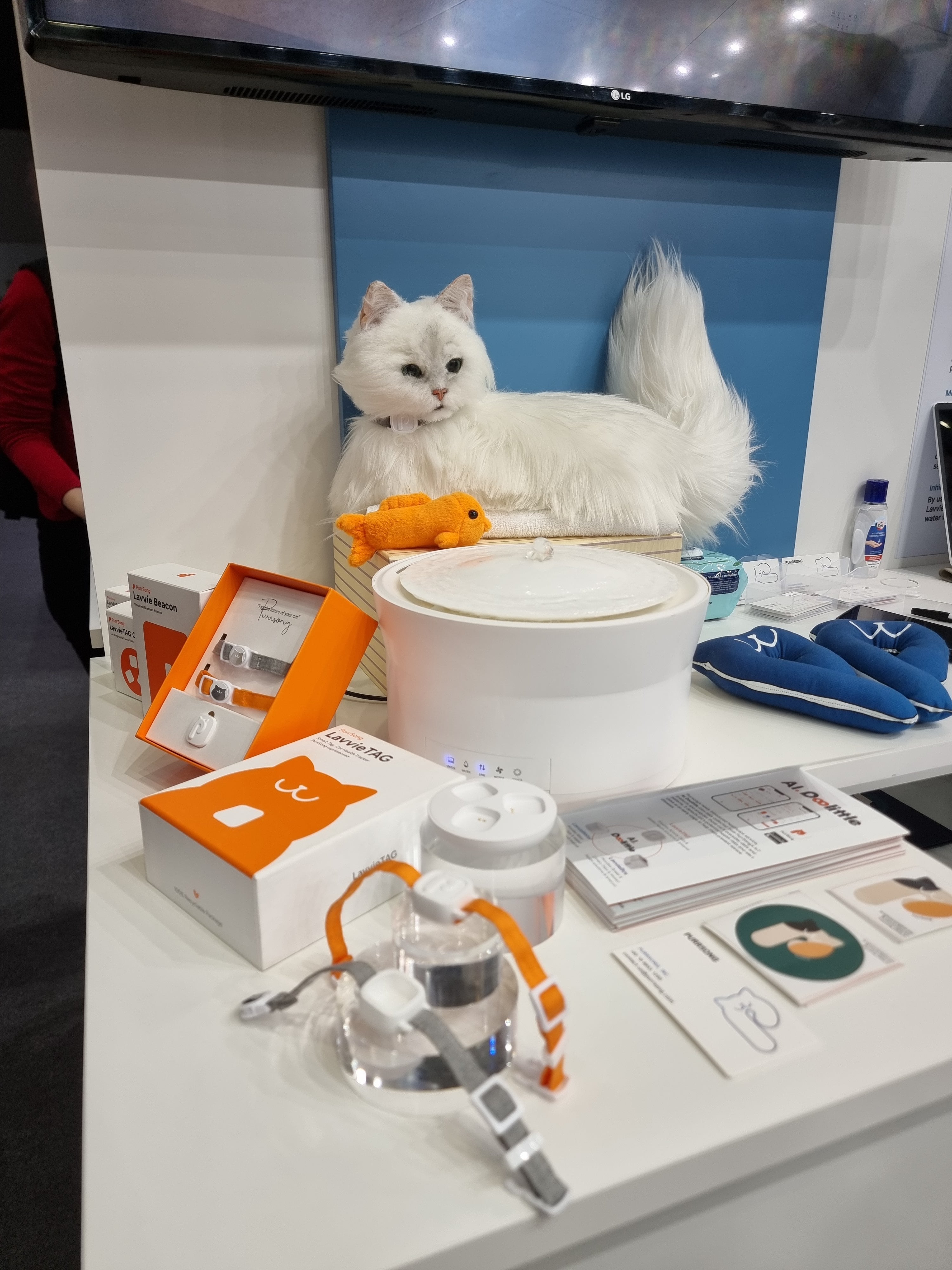 El collar permitirá saber medir la actividad del gato y se podrá saber cuantas veces se baña en el día