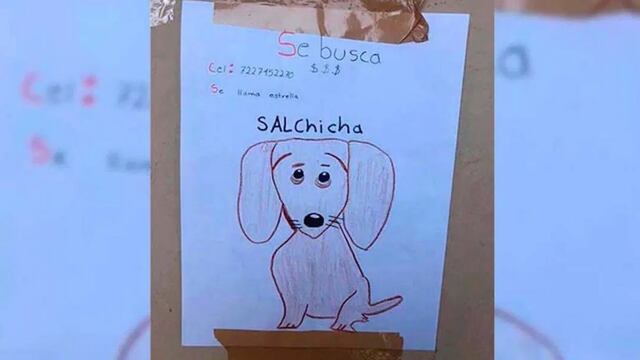 El dibujo de la perrita salchicha desaparecida.