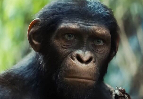 Una nueva película de El Planeta de los Simios llegará a cines en 2027