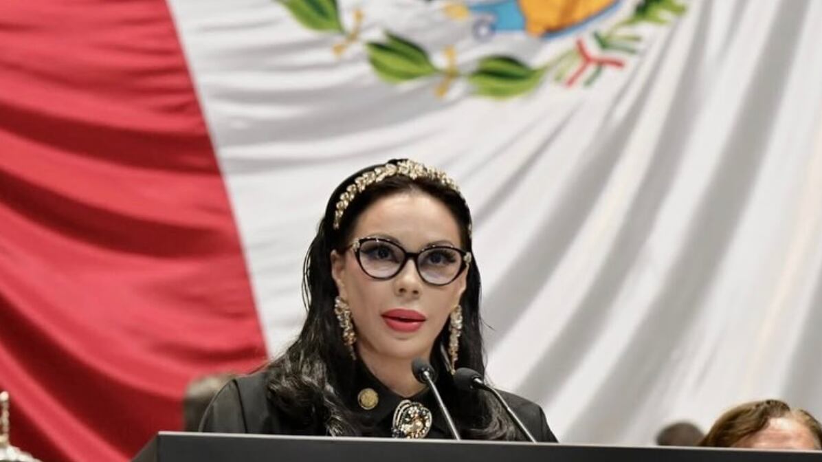 ¿Quién es Giselle Arellano Ávila? Diputada federal por Morena