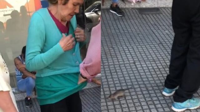 Rata trepa al cuerpo de una mujer