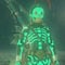 ‘The Legend of Zelda: Breath of the Wild’ tendría traje inspirado en La Parka