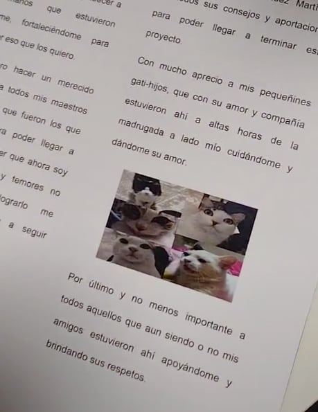 Dedica tesis a sus gatos