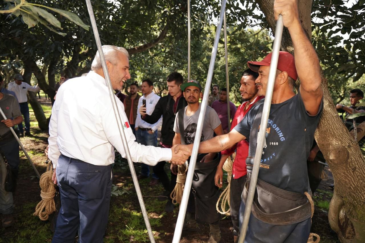 Alfredo Ramírez Bedolla anuncia a Michoacán como líder nacional en producción agropecuaria.