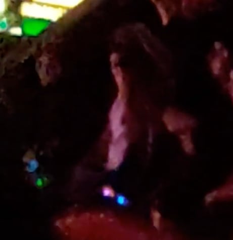 cacha a su novio siéndole infiel