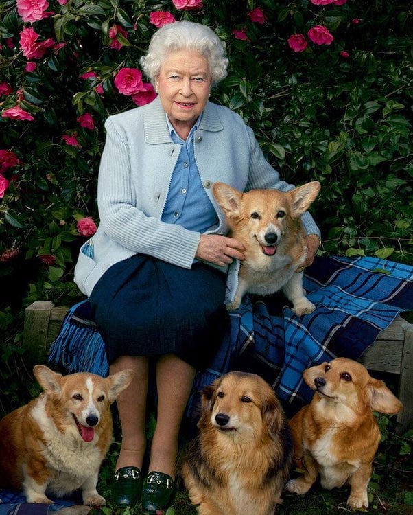Reina Isabel II con sus perros