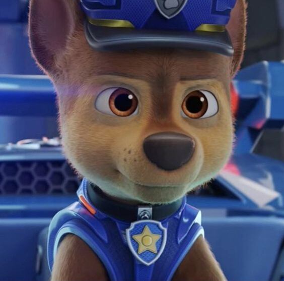 Chase de Paw Patrol