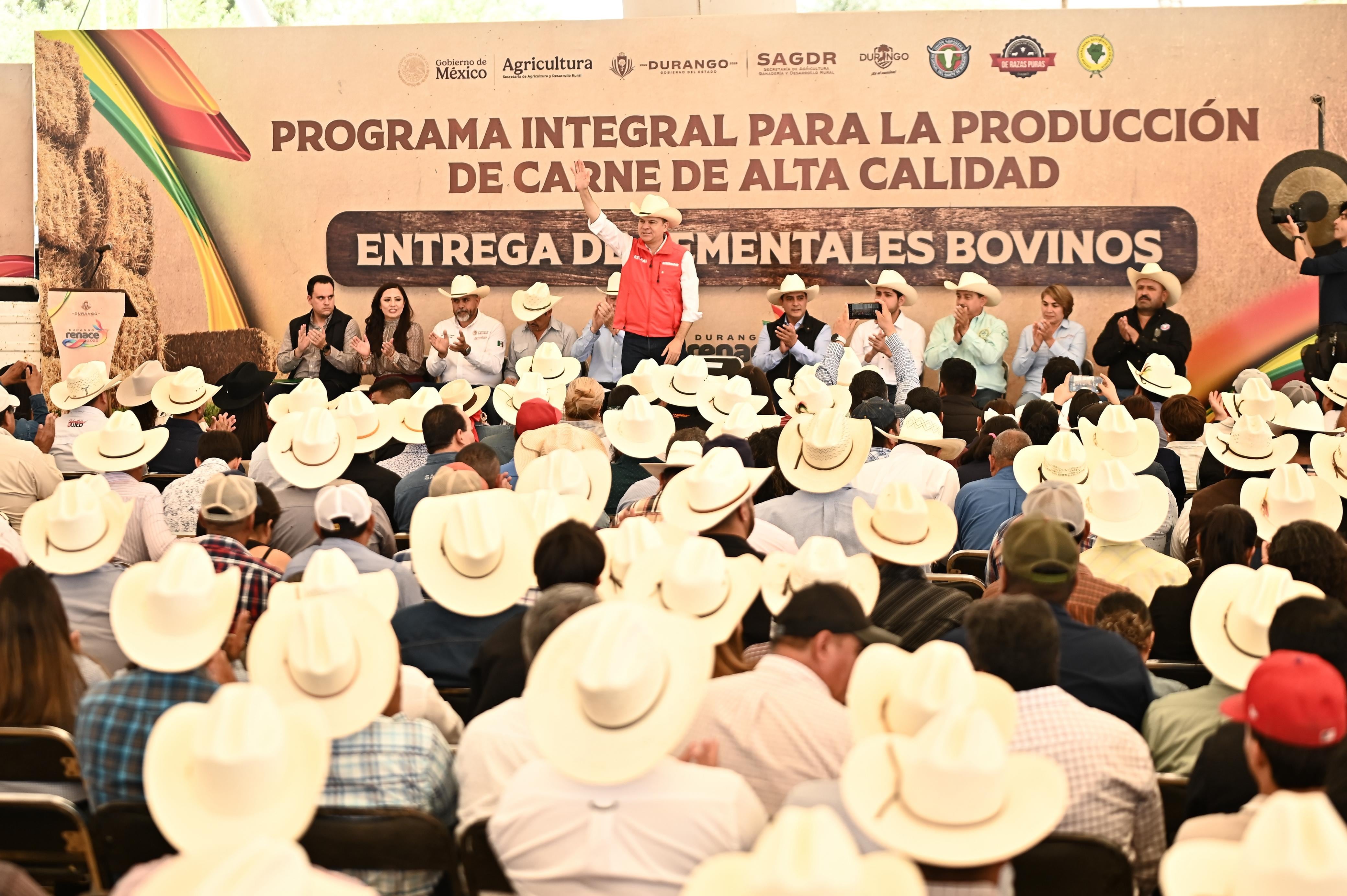 Durango impulsa la ganadería con calidad de exportación y bienestar para las familias del campo