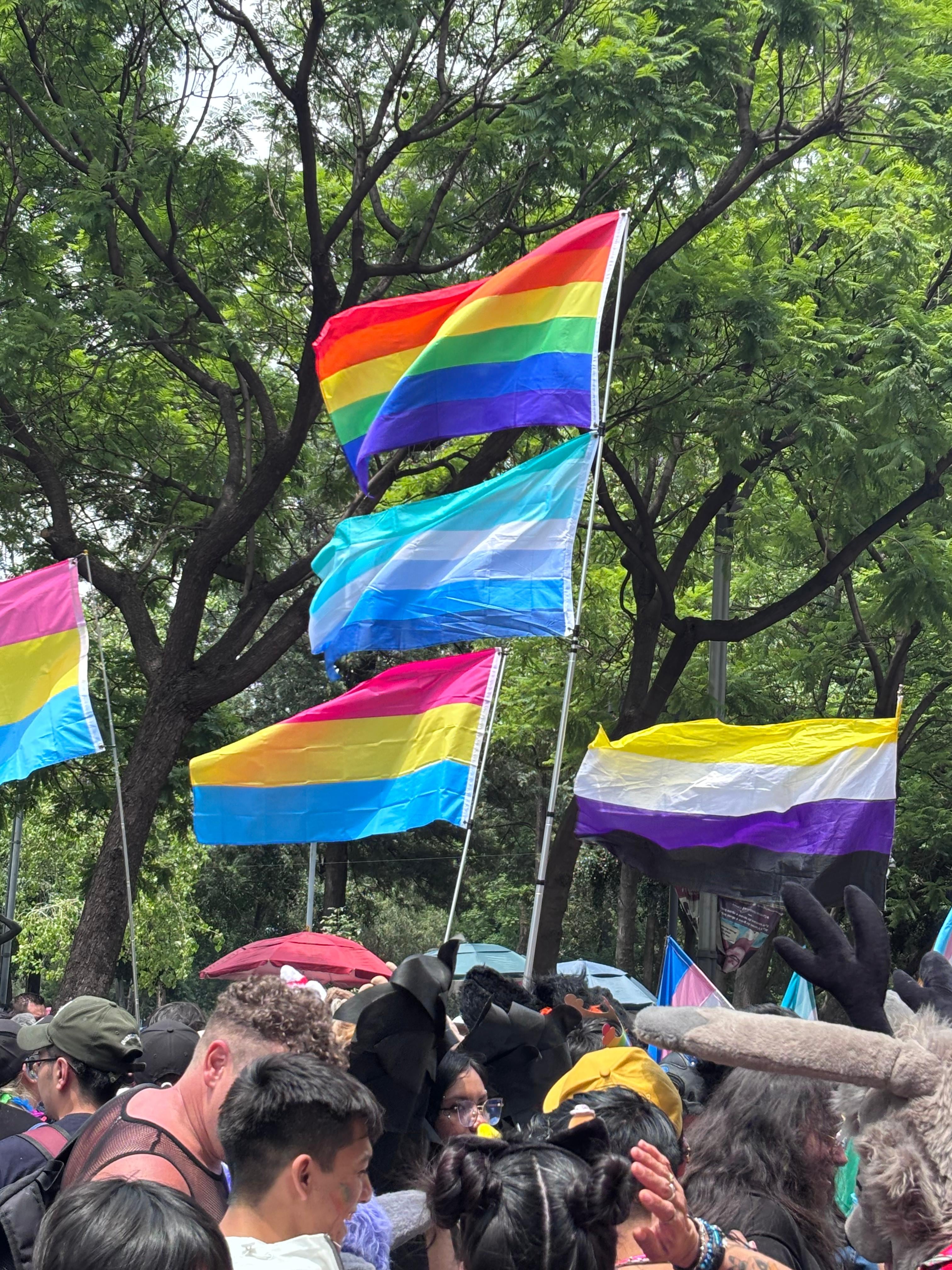 Este es el estado con más personas LGBT de México