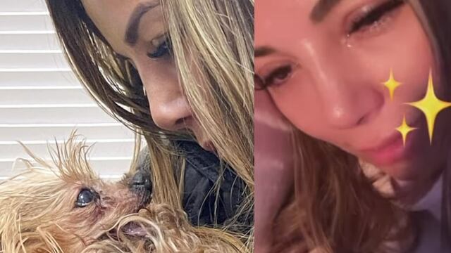 Aleida Núñez comparte muerte de su perrita Bambi.