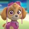 Skye de Paw Patrol para bordar: 5 diseños fáciles y bonitos para hacer en punto de cruz