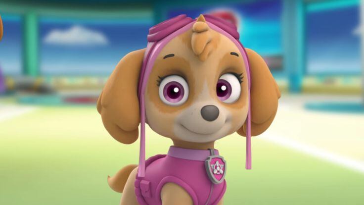 ¿Qué raza es Skye de Paw Patrol?