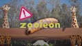 Alerta en el Zoológico de León: confirman casos de gusano barrenador en animales