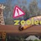 Alerta en el Zoológico de León: confirman casos de gusano barrenador en animales
