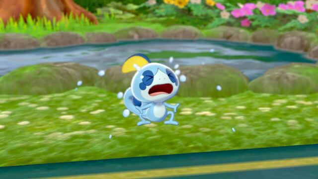 Sobble de Pokémon Espada y Escudo
