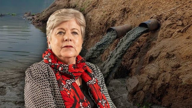Alicia Bárcena confirma que 70% de los ríos de México están contaminados