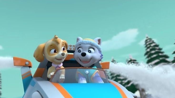 Fondos de pantalla de Skye y Everest de Paw Patrol para computadora