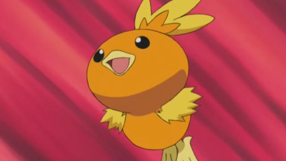Torchic sería uno de los Pokémon regionales de México