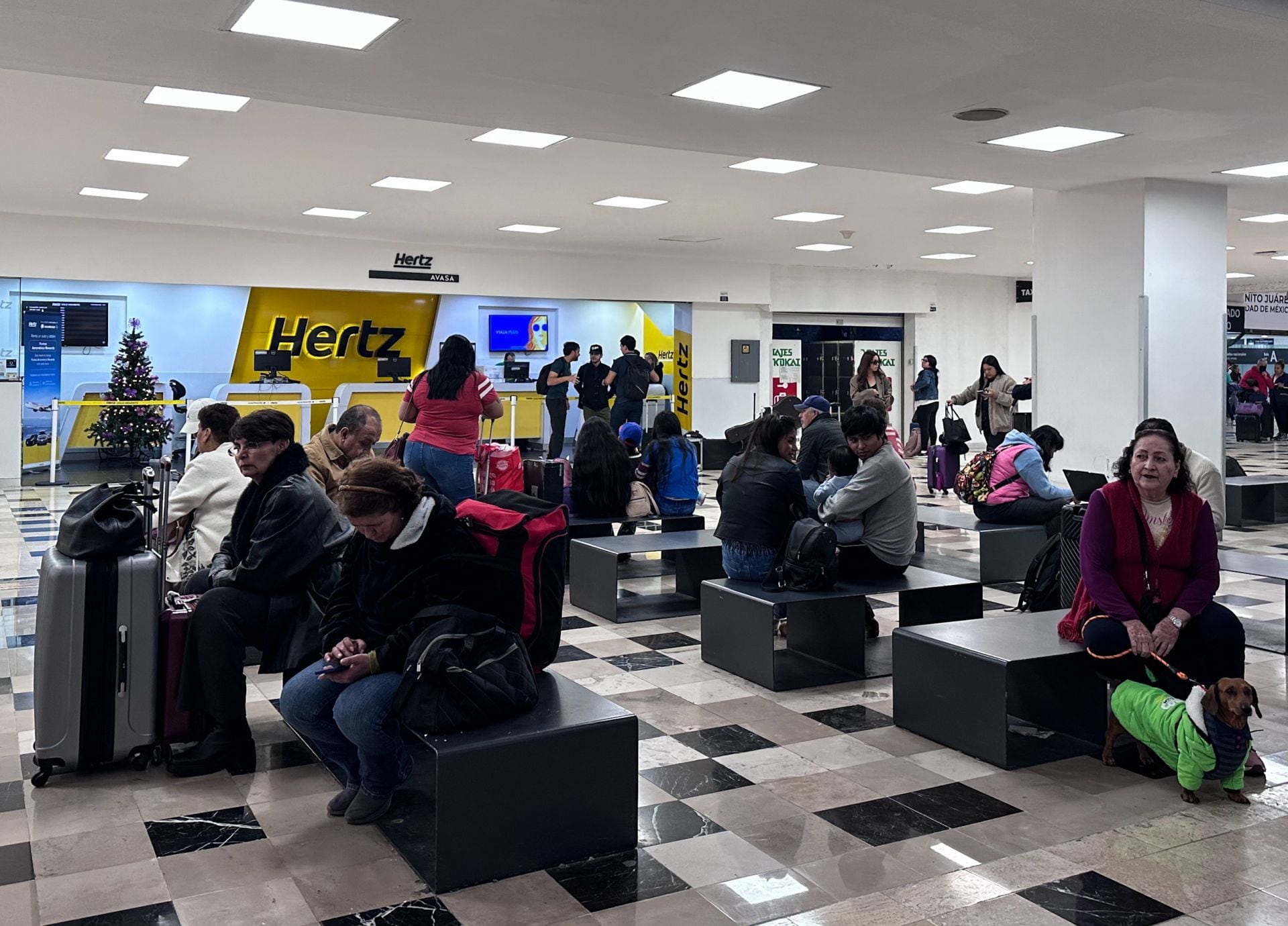 ¿Qué hacer si tu vuelo de Aeroméxico fue afectado?