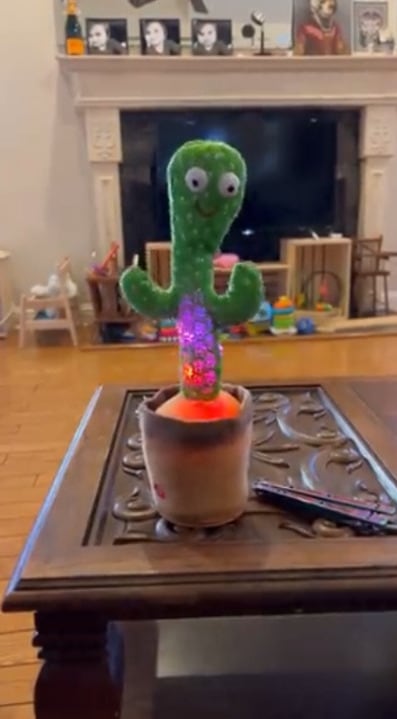 Cactus de juguete baila y canta… ¡Sobre drogas y suicidio!