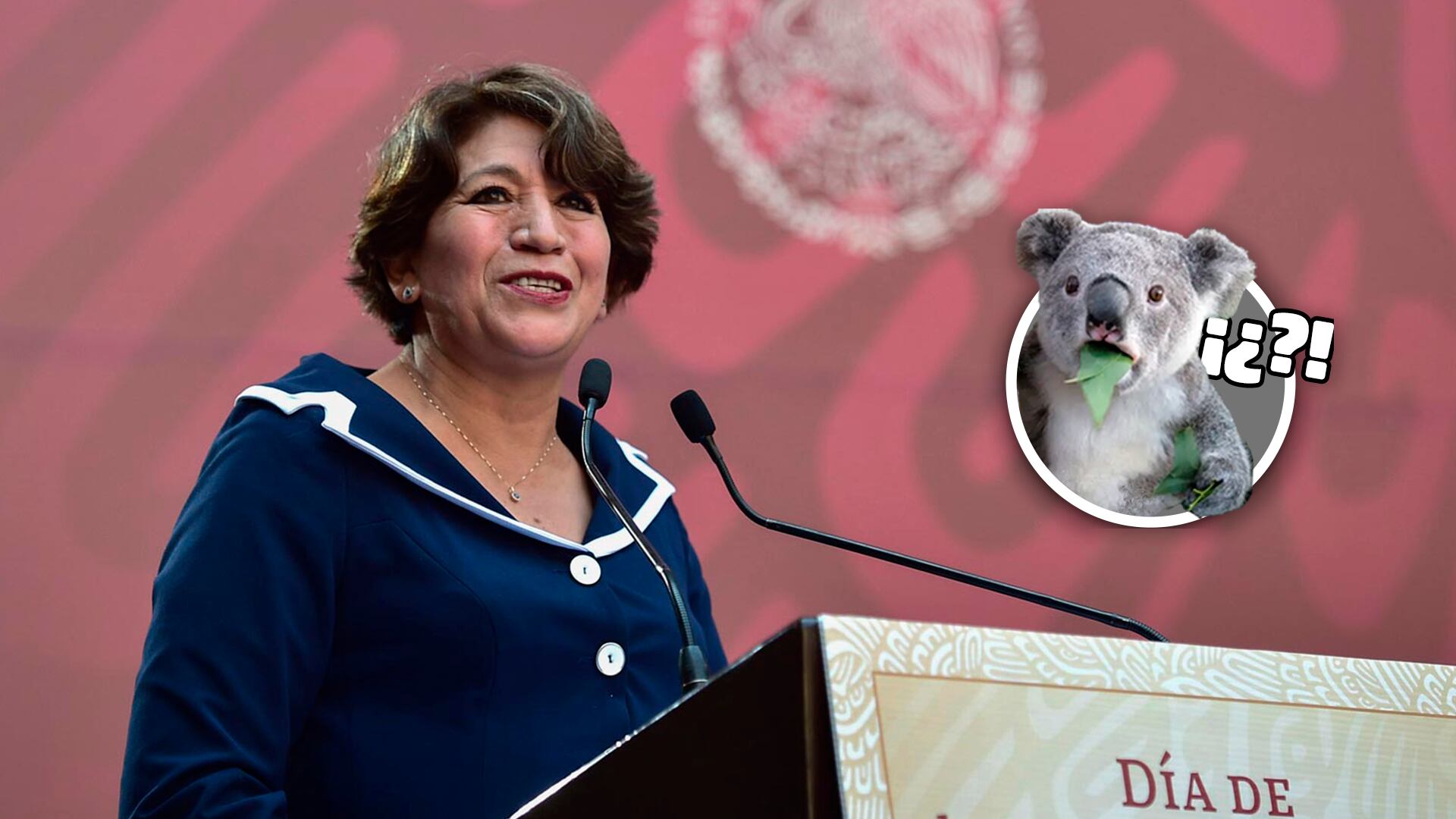 Delfina Gómez gana encuesta de Morena y va por gubernatura del Edomex, por segunda vez