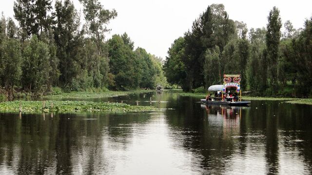 Laguna del Toro, Xochimilco