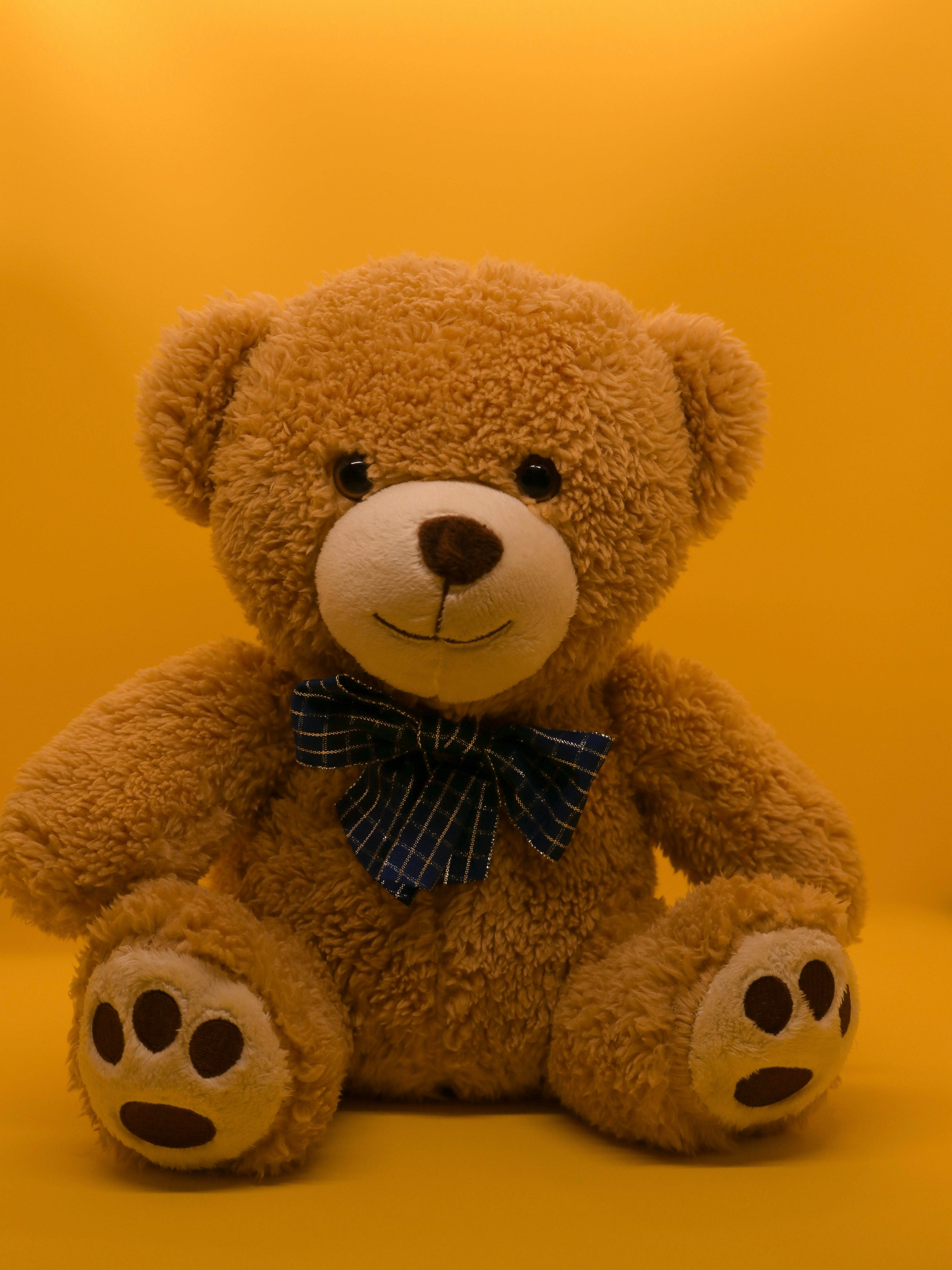 Día del Osito de Peluche