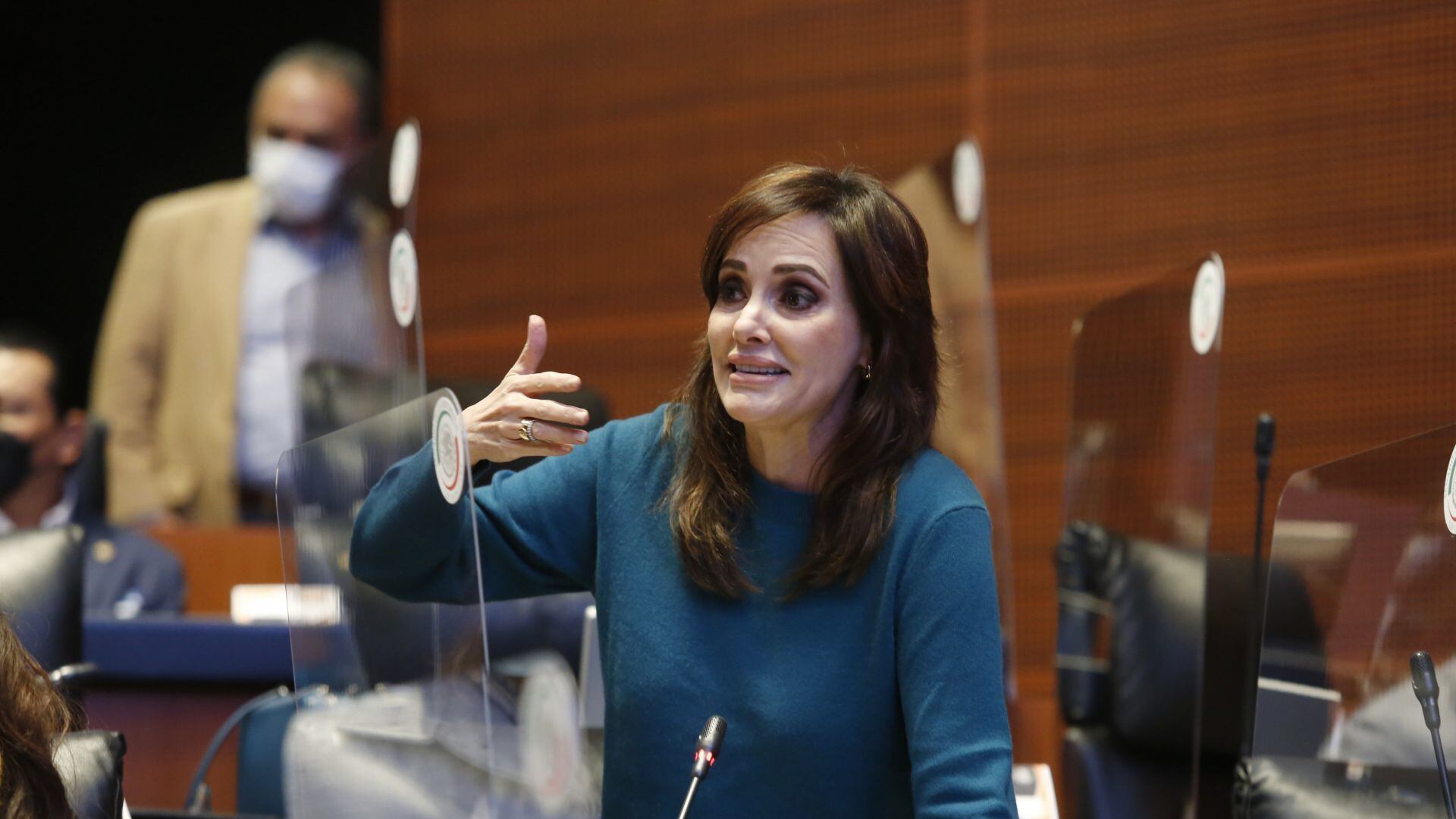 Gerardo Fernández Noroña y Lilly Téllez pelearon otra vez en la Cámara de Senadores, pero ahora por aranceles