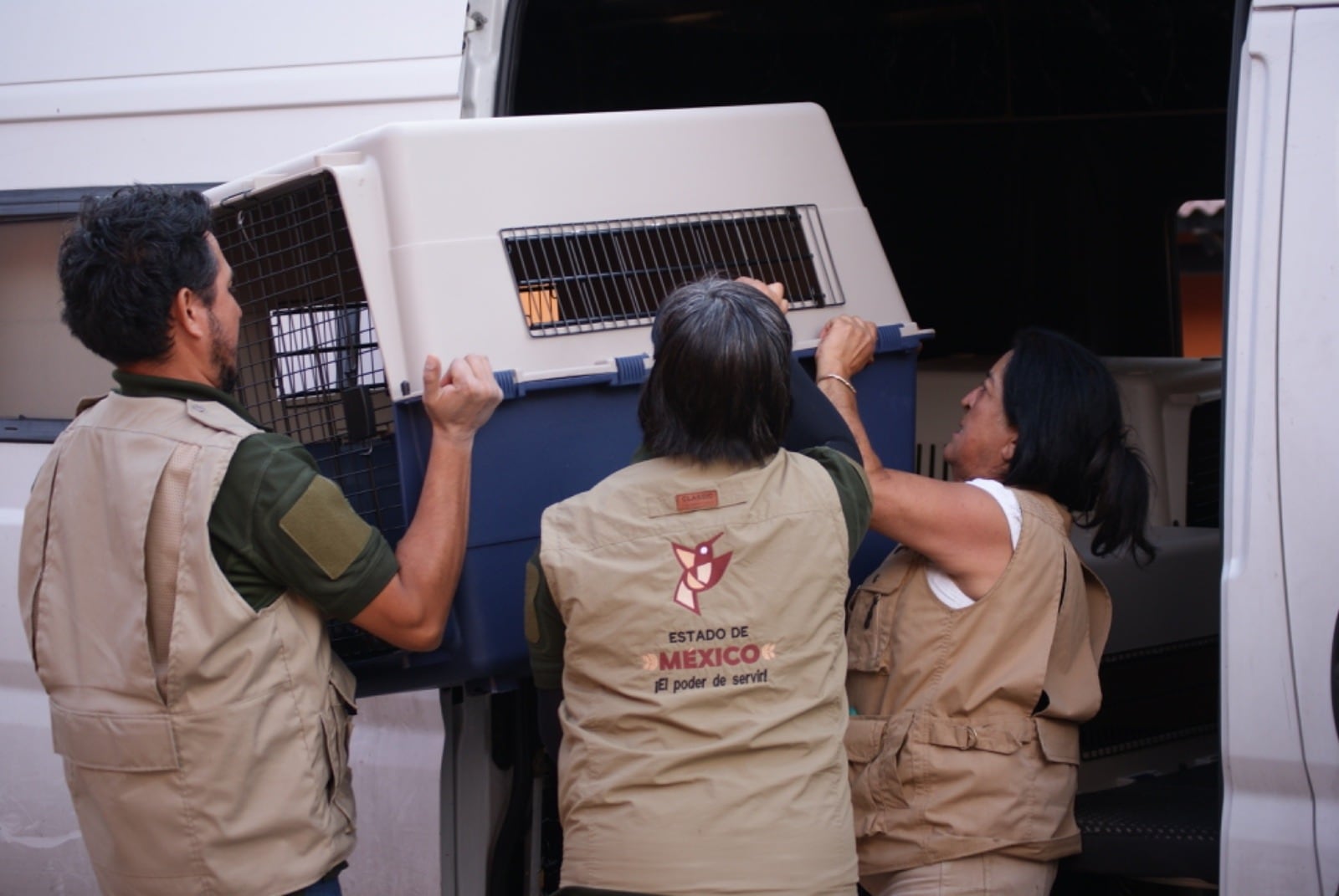 Nueva ley en Edomex reconoce a los animales como seres sintientes y castiga el maltrato