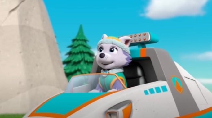 Everest de Paw Patrol