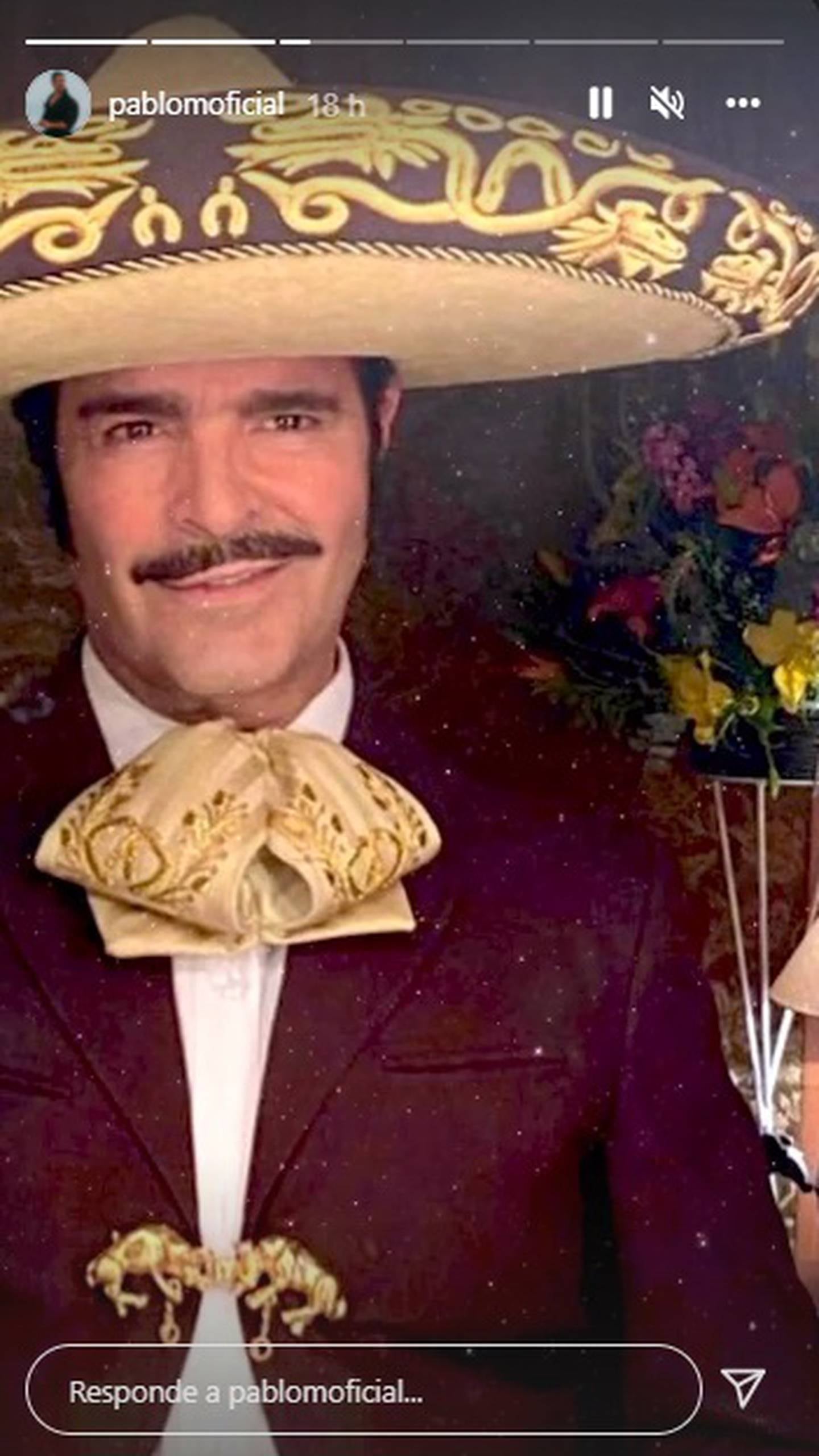 Pablo Montero como Vicente Fernández