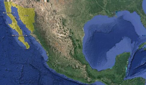 Alertan a 3 estados de México por robo de cilindros con peligroso químico