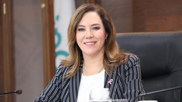 Blanca Lilia Ibarra, comisionada del INAI