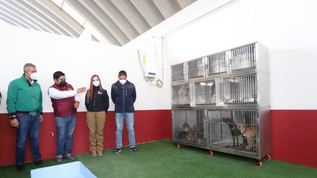 Centro de atención a mascotas