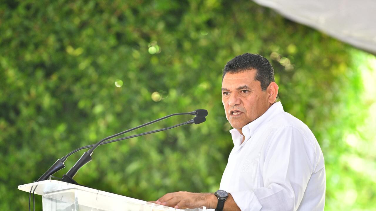 Javier May hace un llamado a la población para sumarse a la Jornada de Reforestación 2025