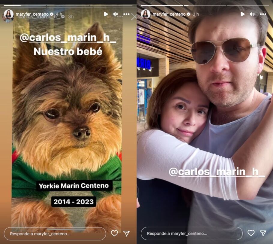 Maryfer Centeno llora por la muerte de Yorkie, su perrito a quien despidió entre lágrimas