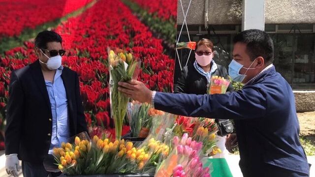 Personal de enfermería