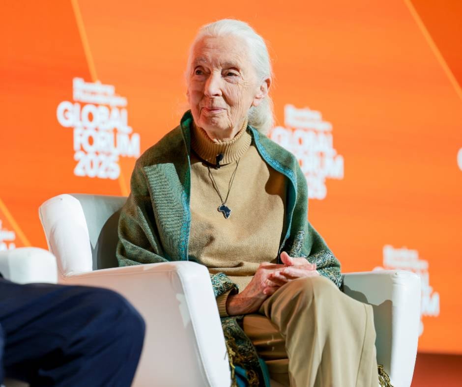 Muere Jane Goodall a los 91 años de edad
