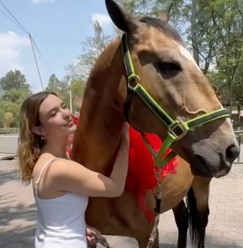 Tarik Othón le regaló un caballo a Mía Rubín