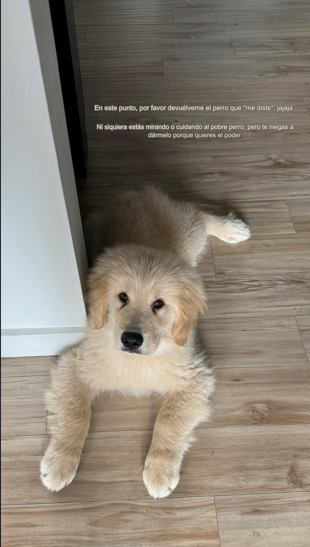 Hanna Howell le pide a Peso Pluma su perro de regreso.