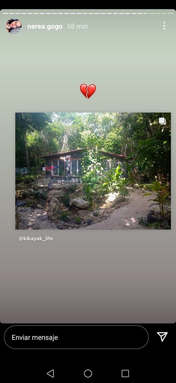 Historia de Instagram
