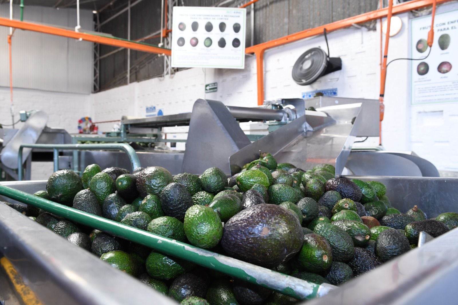 México impulsa exportaciones con trabajo digno con Certificado Laboral para la Agroexportación