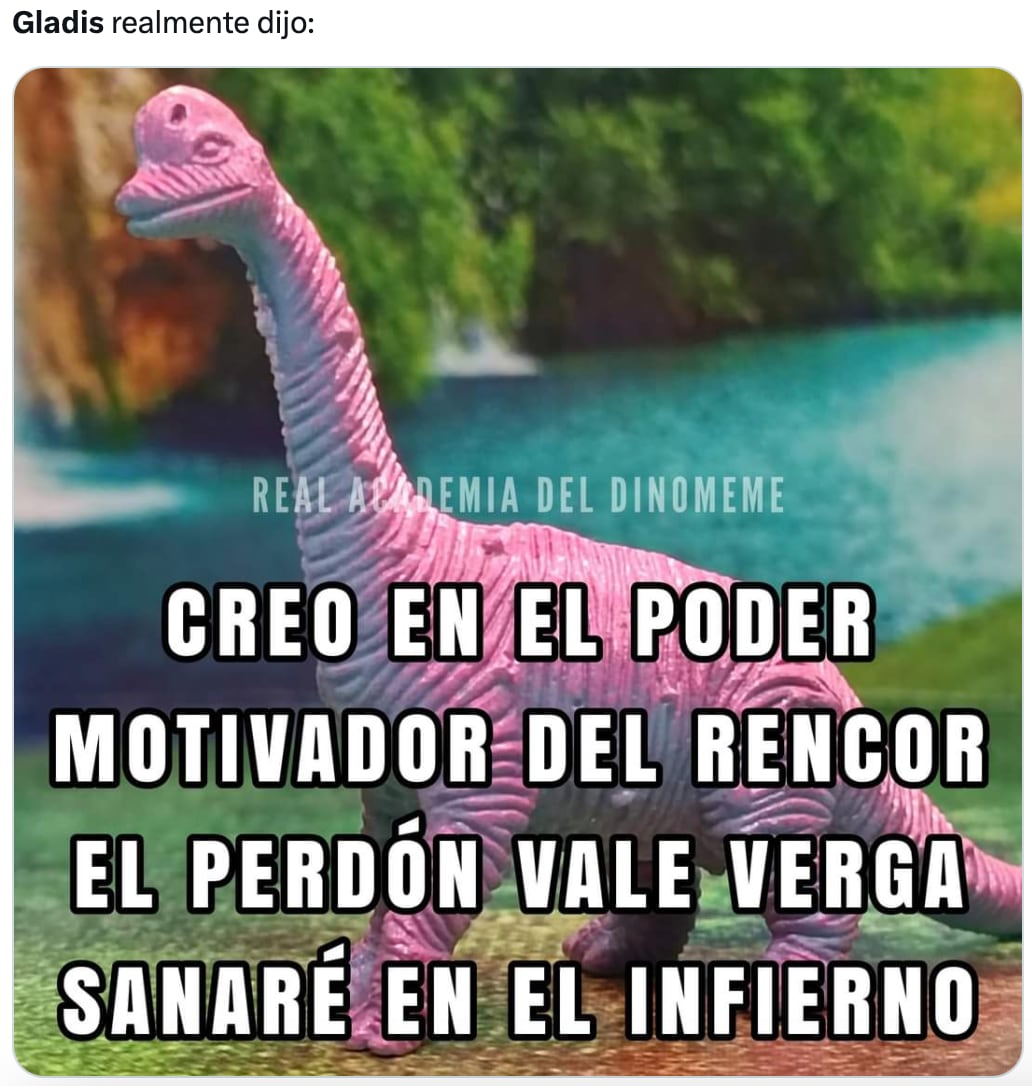 Memes de Gladis, la orca asesina