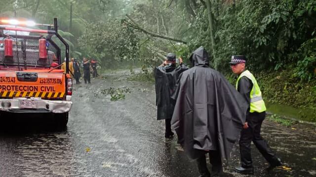 Alejandro Armenta supervisará atención a familias afectadas en la Sierra Norte de Puebla.