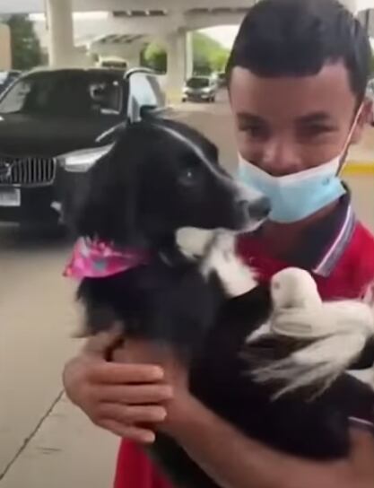 Llega a Estados Unidos con su perrita