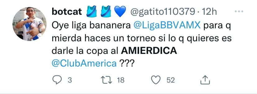 Los fanáticos del Club Puebla han despotricado en contra de la Liga MX y el Club América.